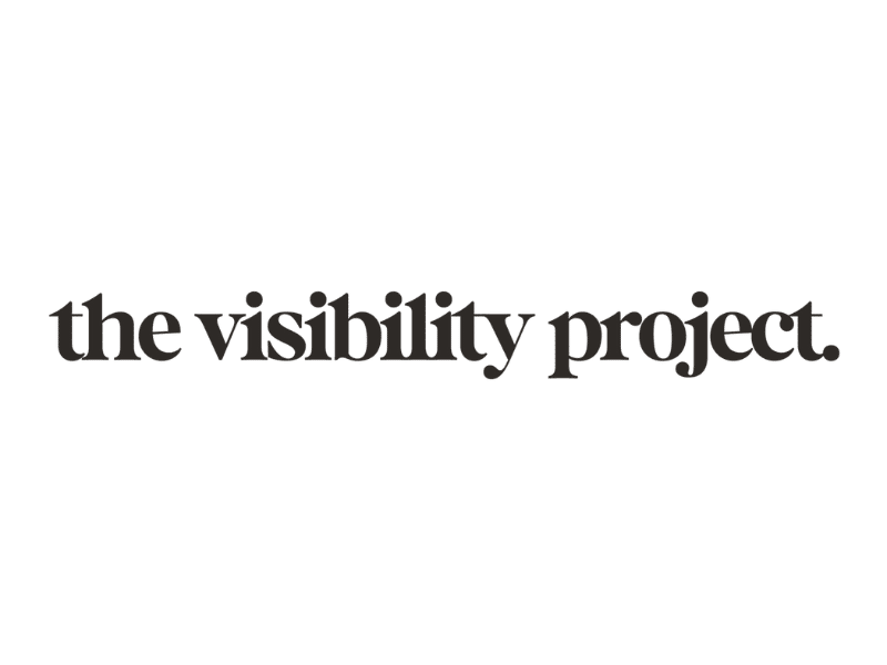 the visibility project